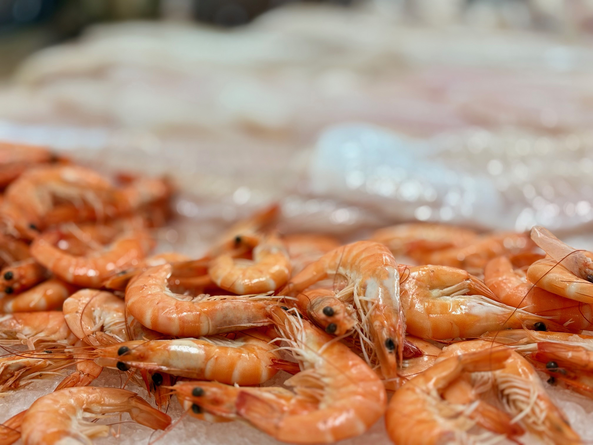 Fresh seafood displayed at the customer's store