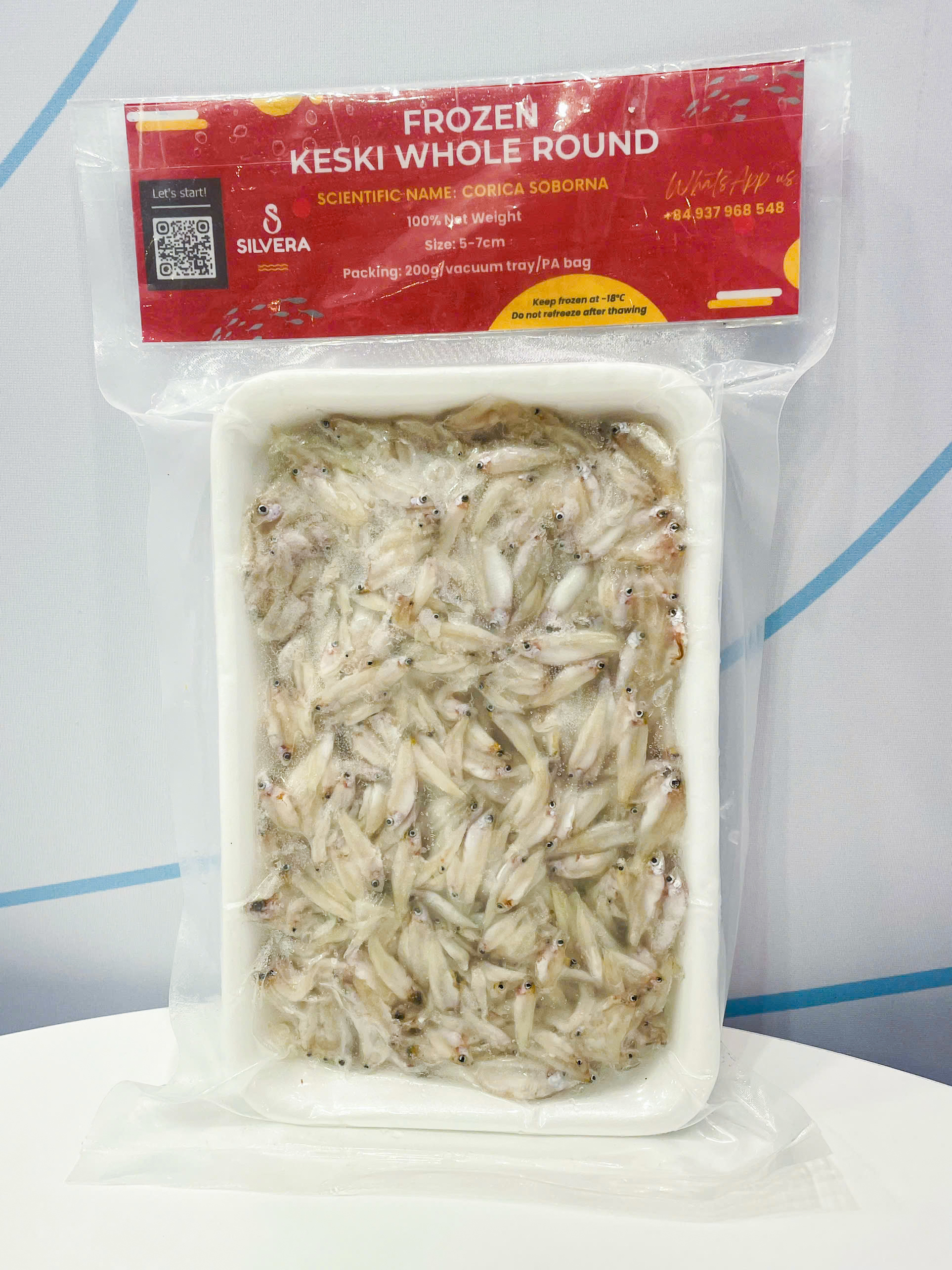 SEG25 - White anchovies