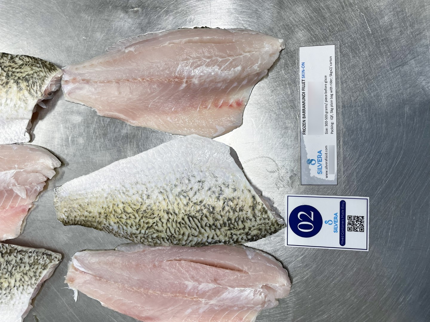 Barramundi fillets skin on