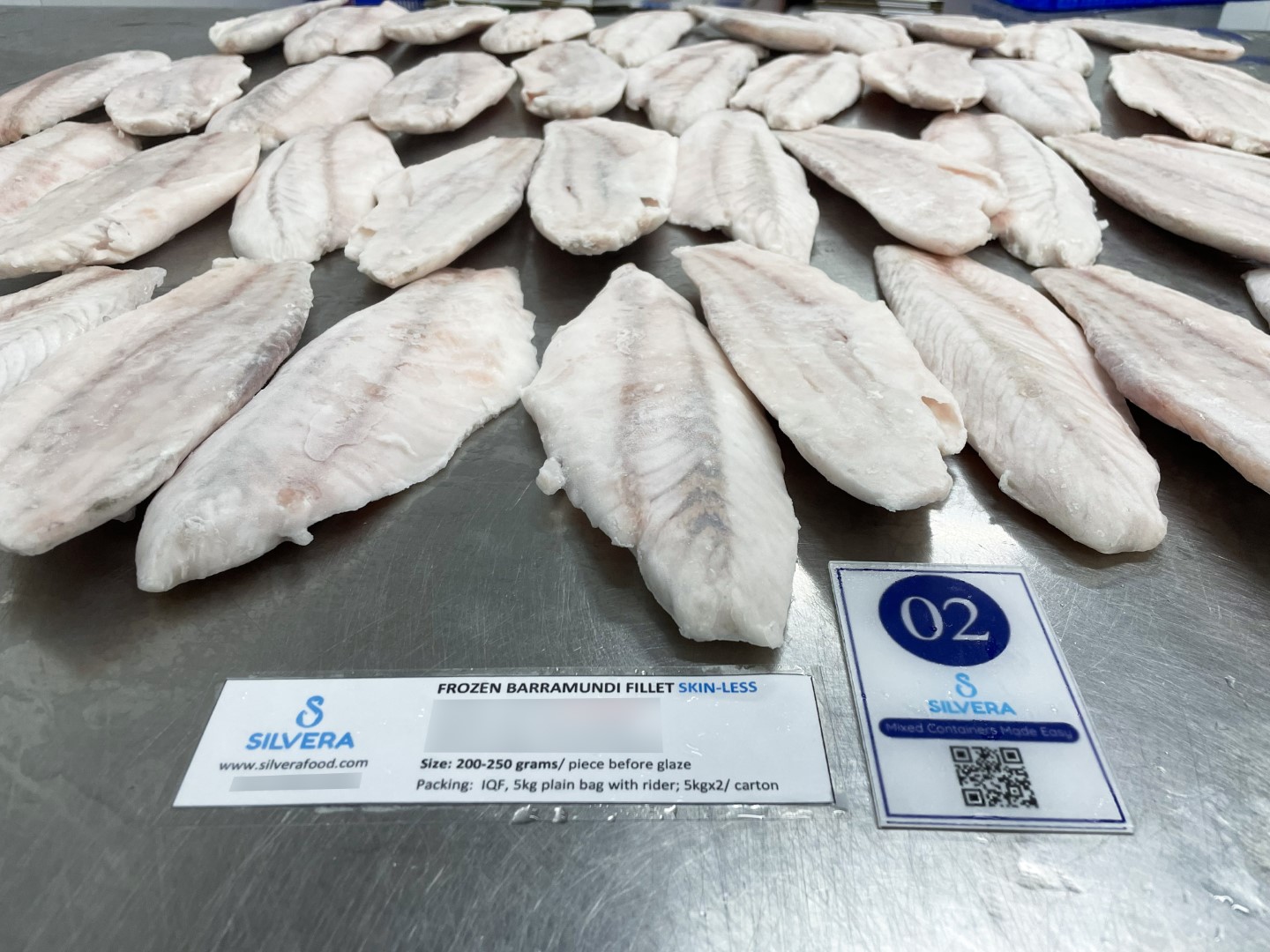 Barramundi fillets skinless
