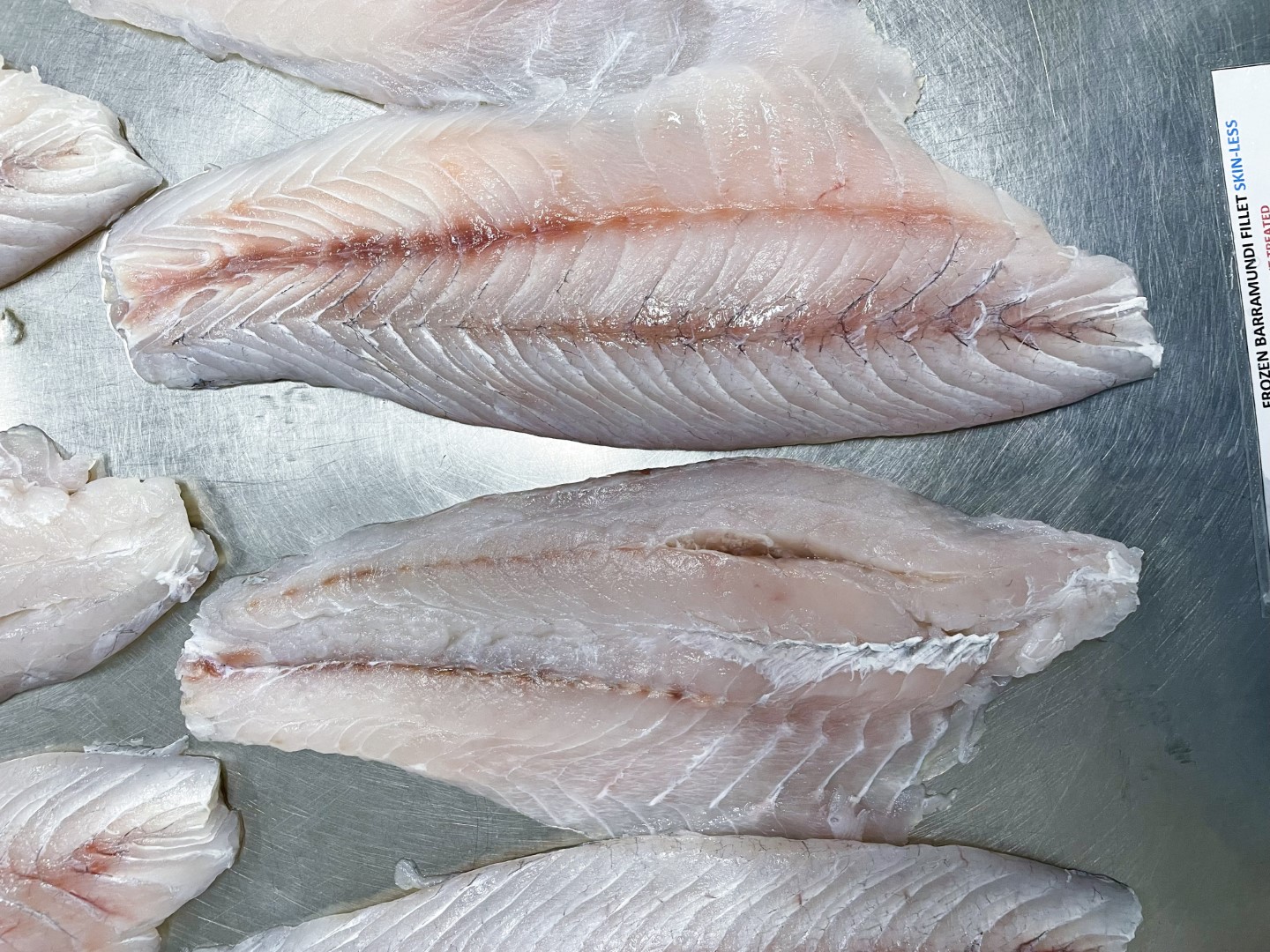 Barramundi fillets skinless