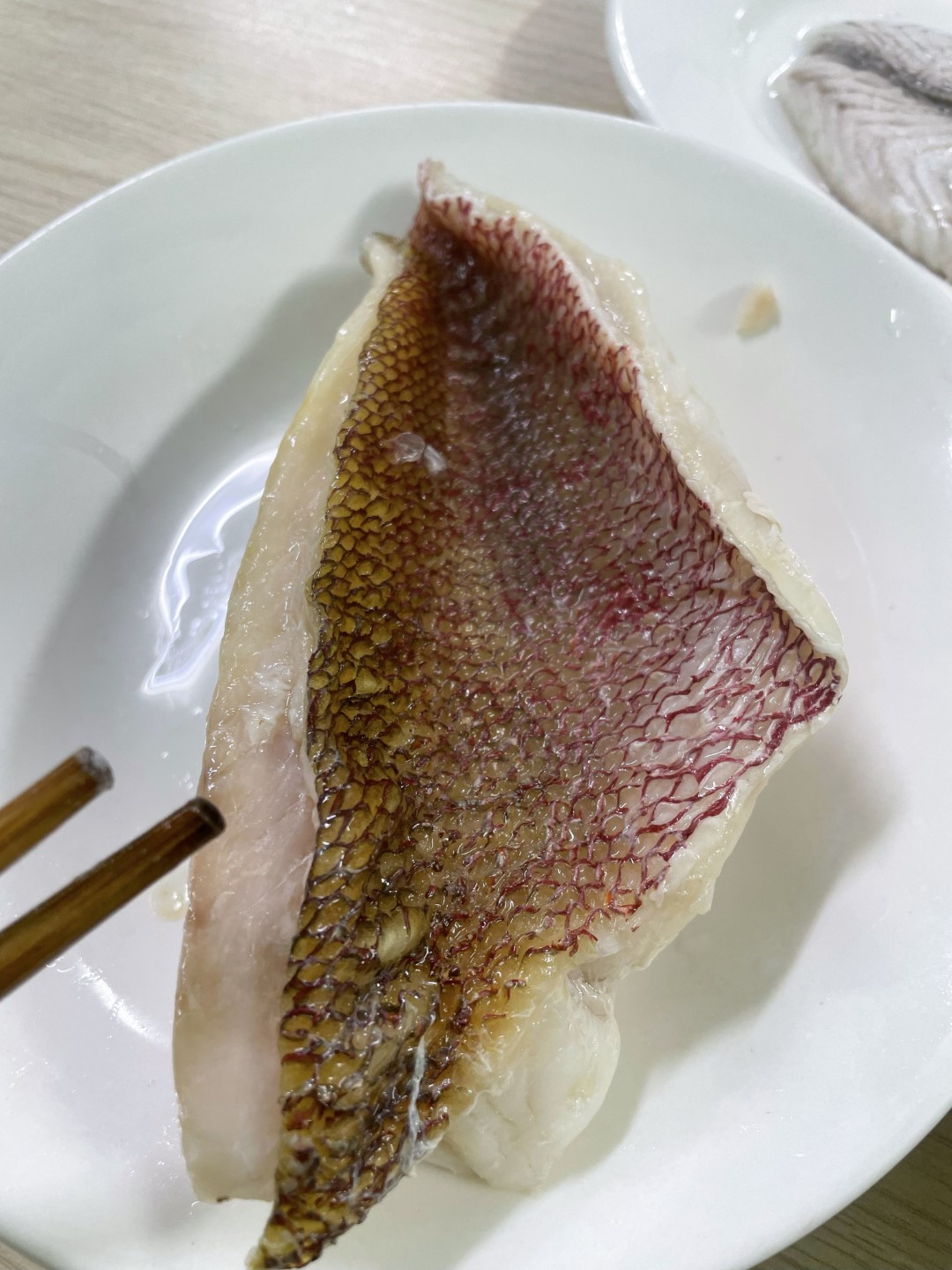 Cooked red snapper fillet skin on