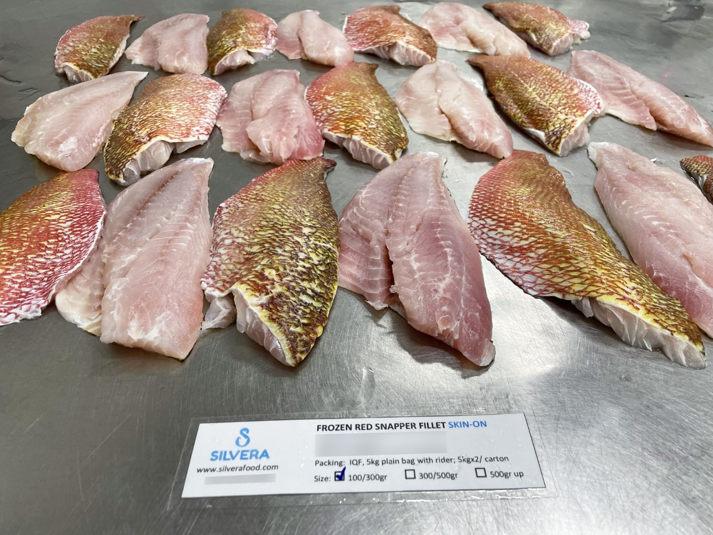 Red snapper fillets skin on