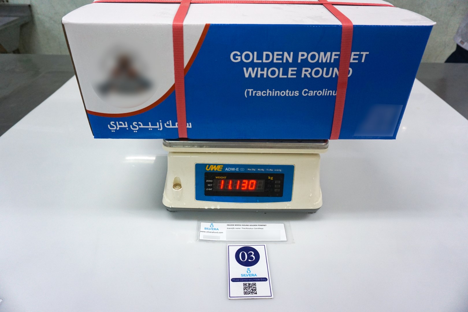 Frozen golden pomfret whole round 