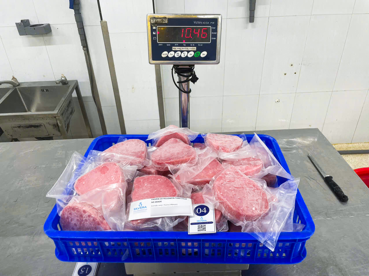Frozen yellowfin tuna steaks