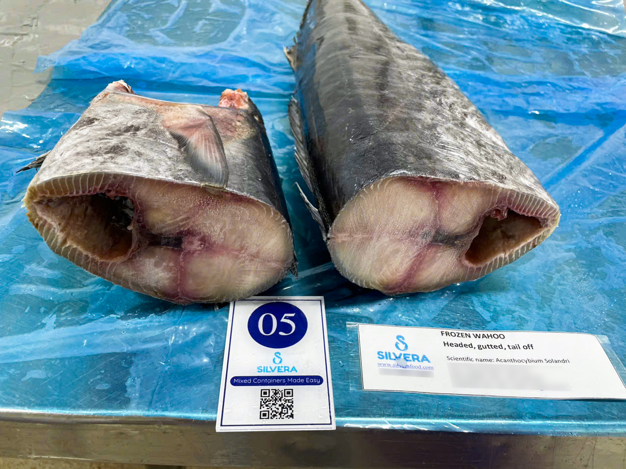 Frozen wahoo whole gutted