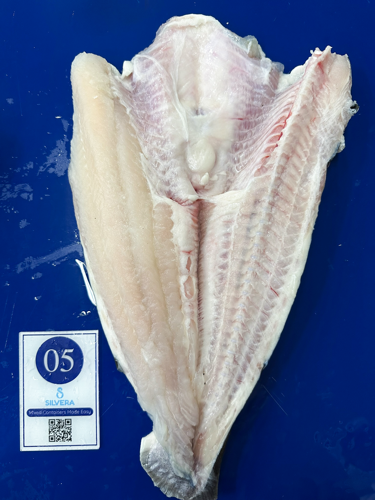 Butterfly-cut pangasius
