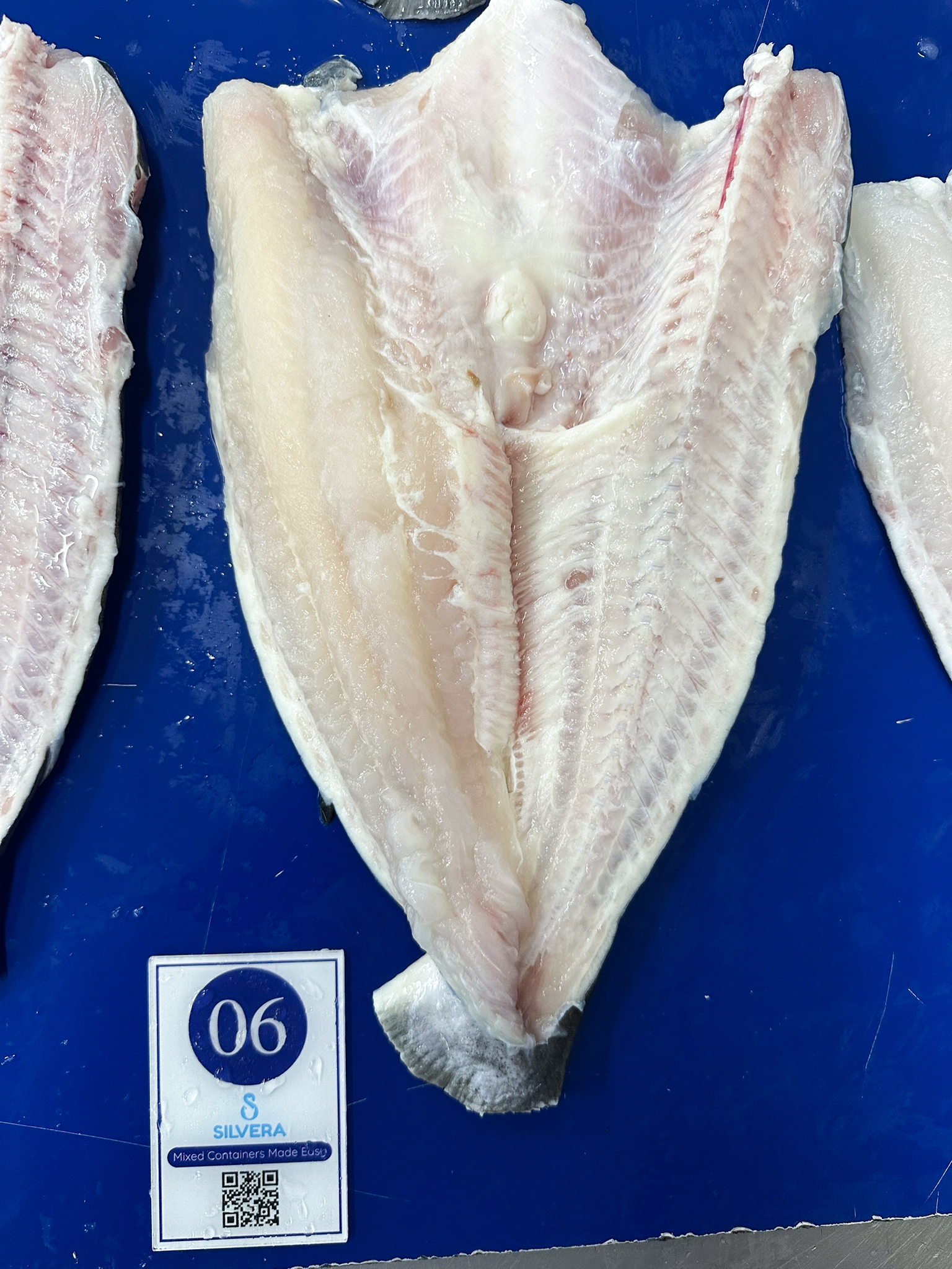 Butterfly-cut pangasius