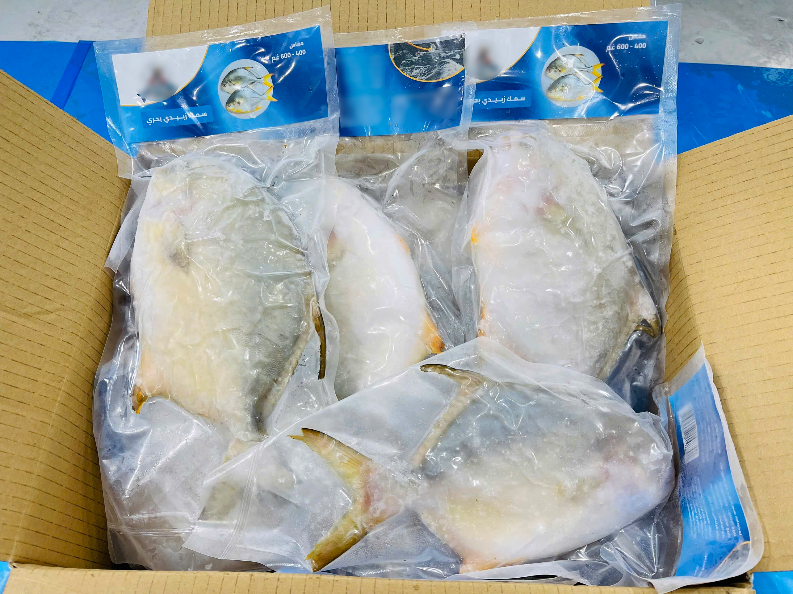 Golden pomfret whole round 