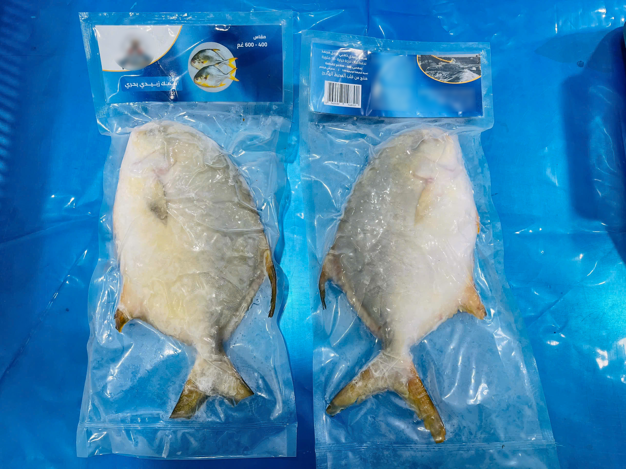 Golden pomfret whole round 