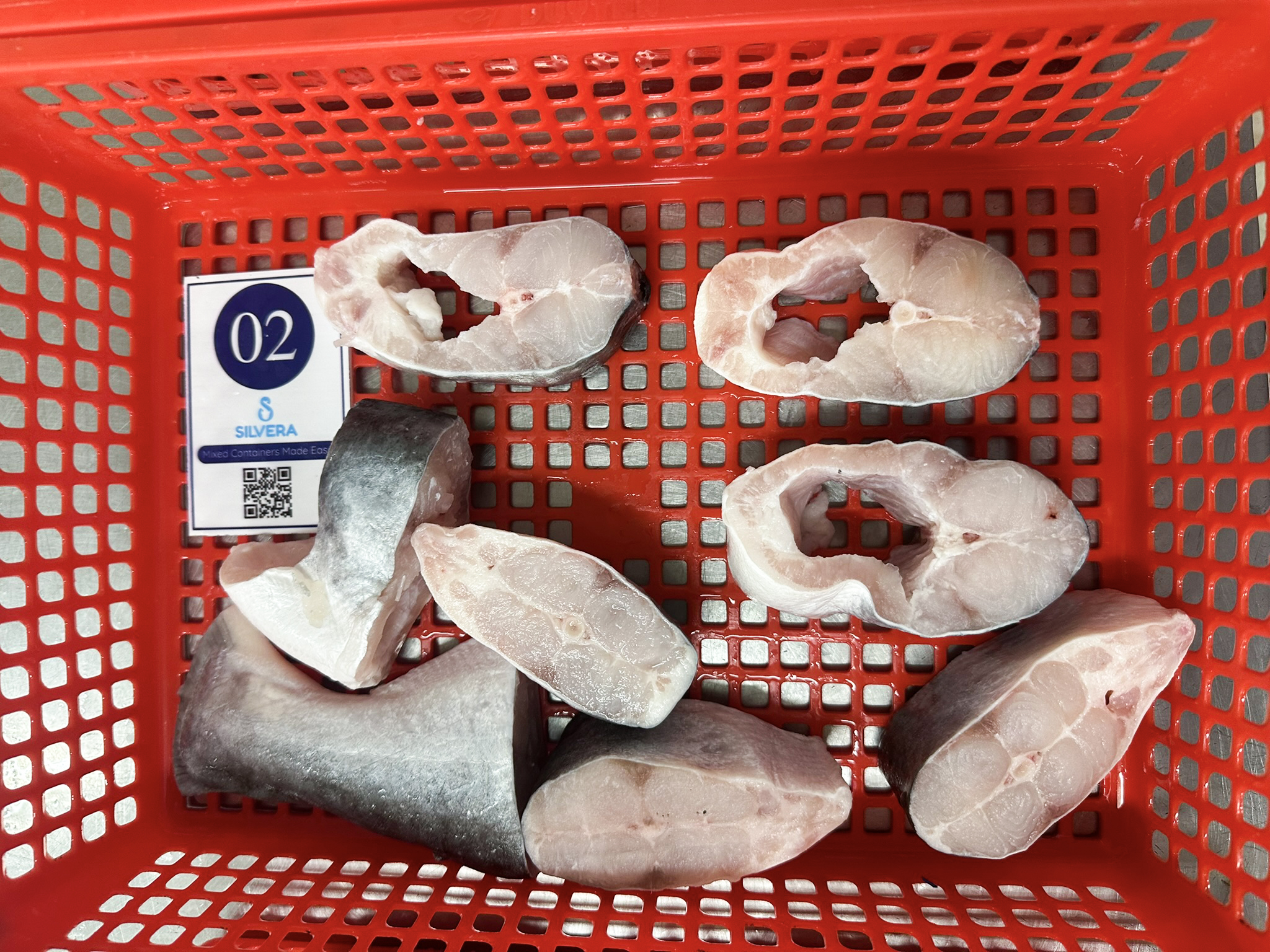 Pangasius steaks