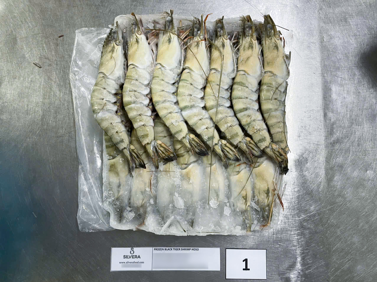 Frozen HOSO black tiger shrimp