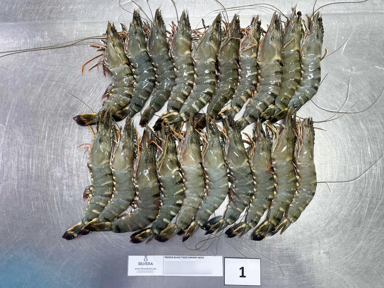 Defrosted HOSO black tiger shrimp