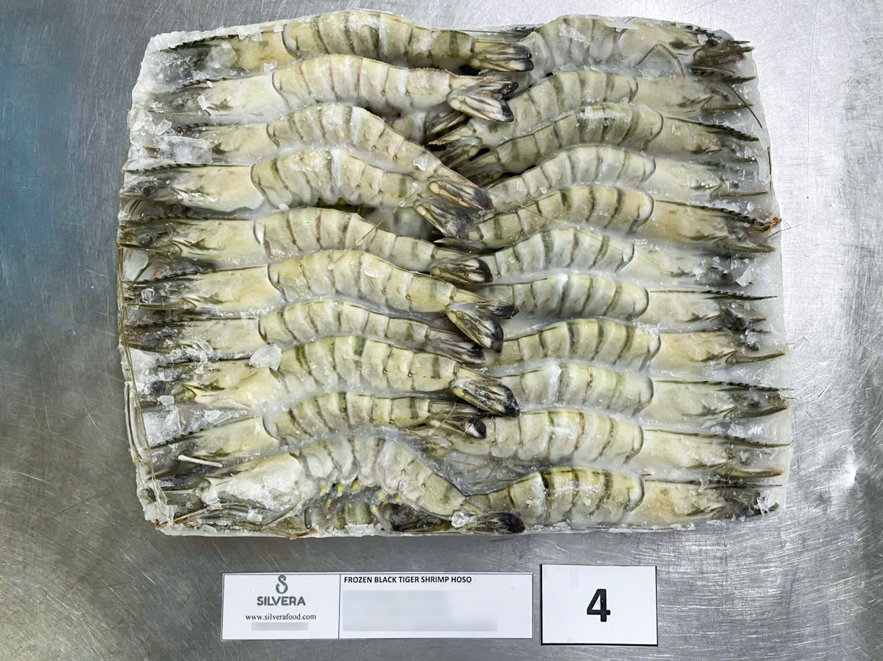 Frozen HOSO black tiger shrimp