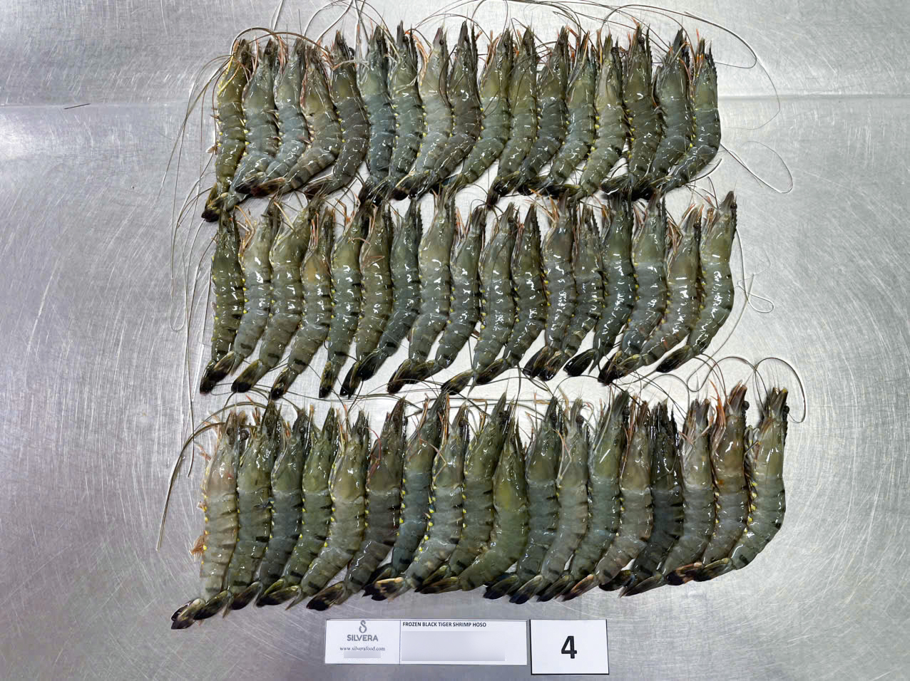 Defrosted HOSO black tiger shrimp