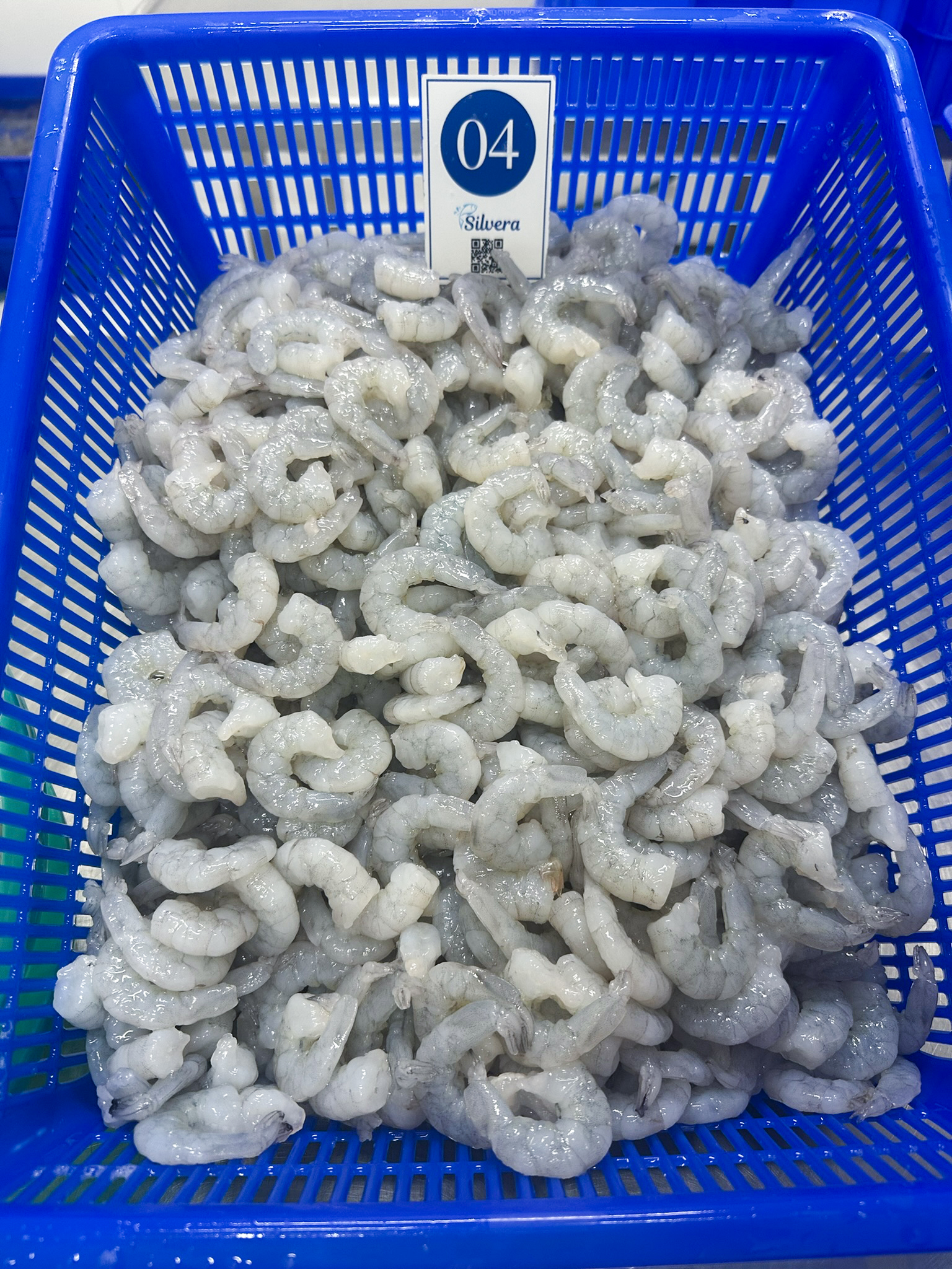 Defrosted RPD vannamei shrimp