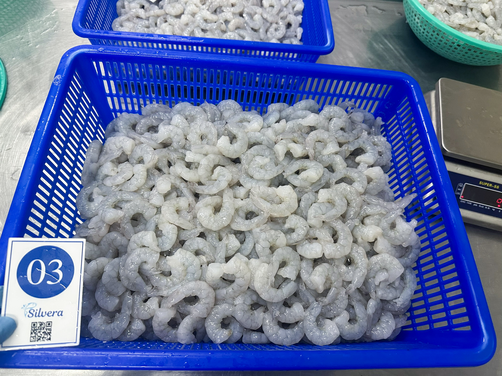 Defrosted RPD vannamei shrimp