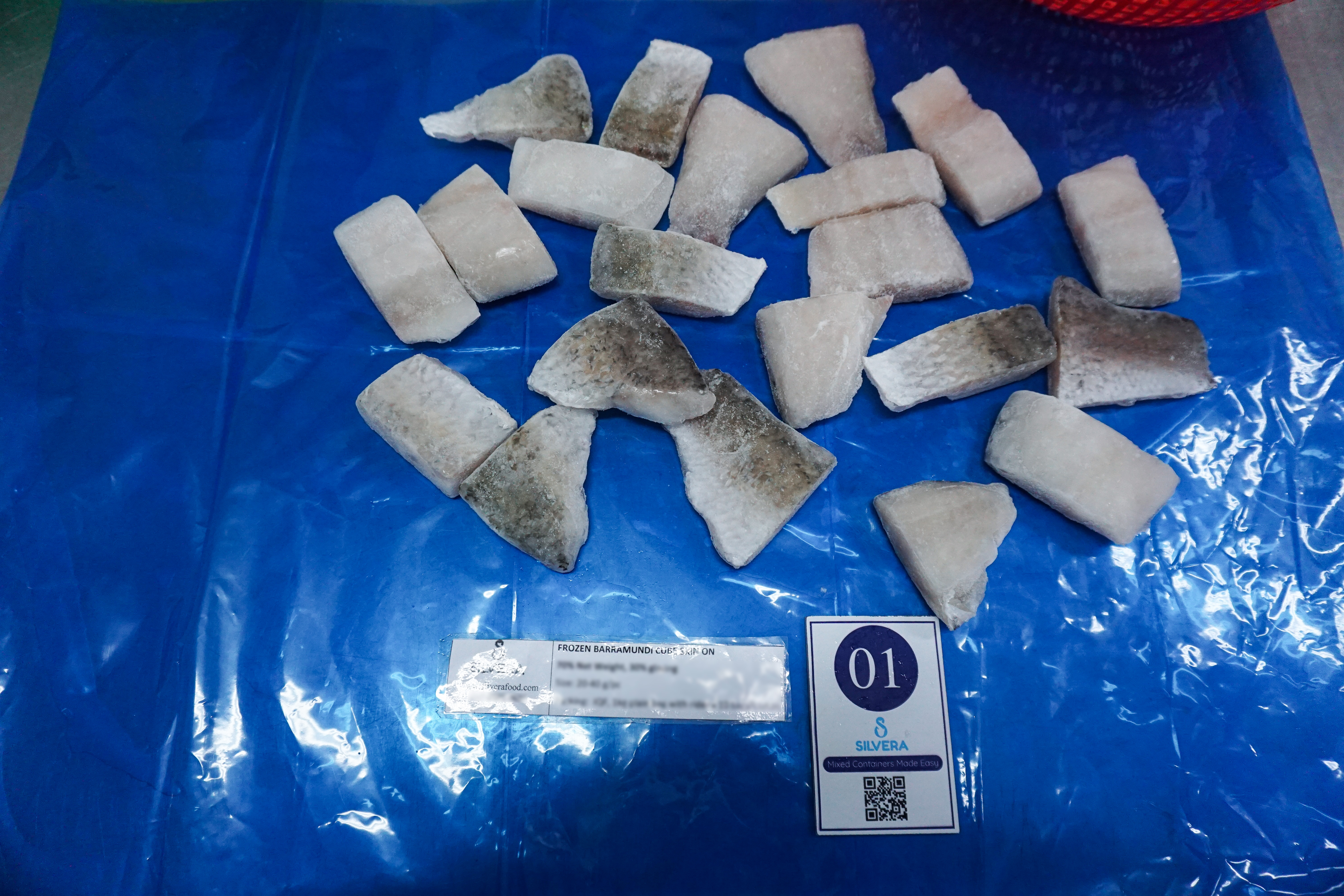 IQF barramundi cubes - Silvera Food Vietnam
