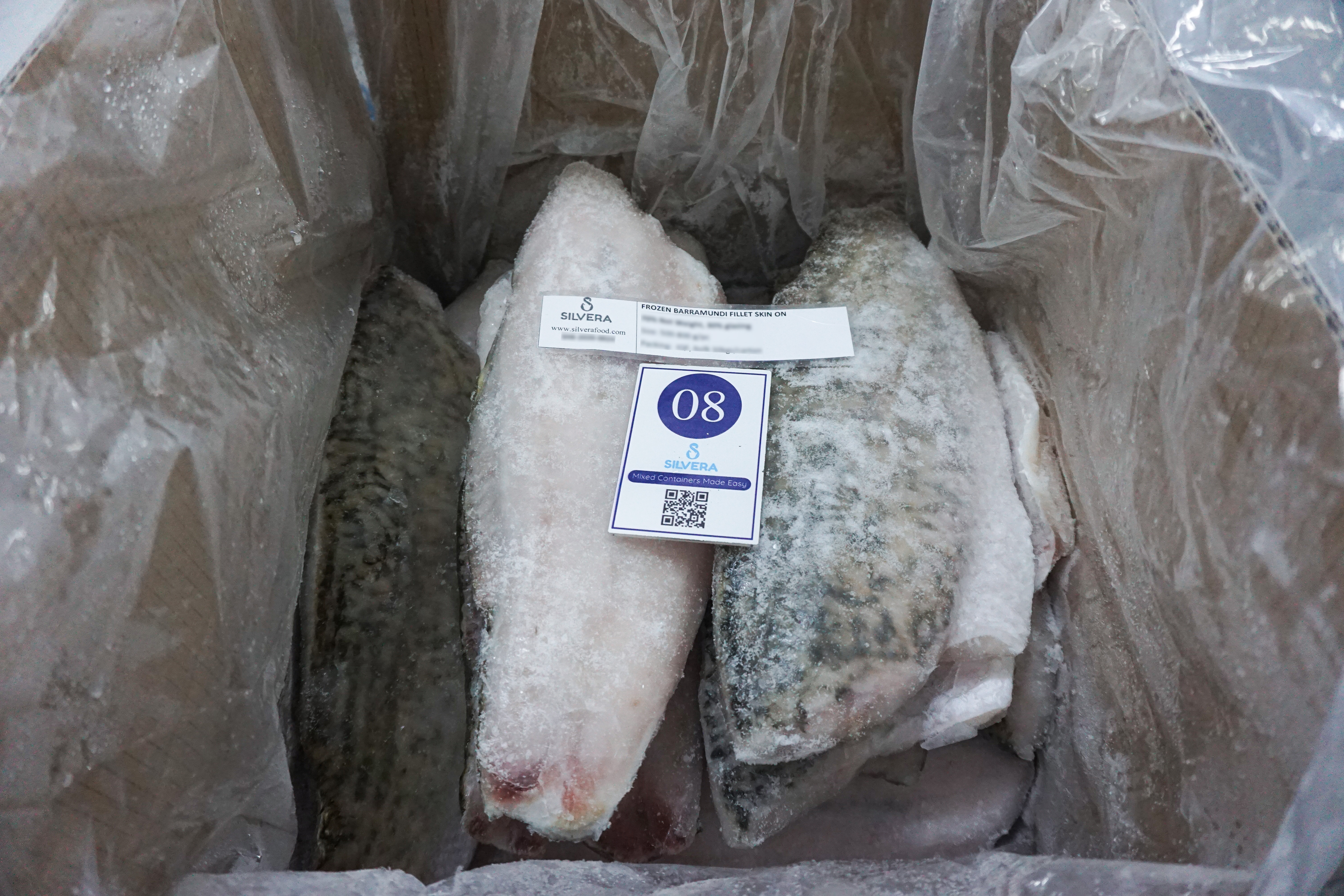 IQF barramundi fillets - Silvera Food Vietnam