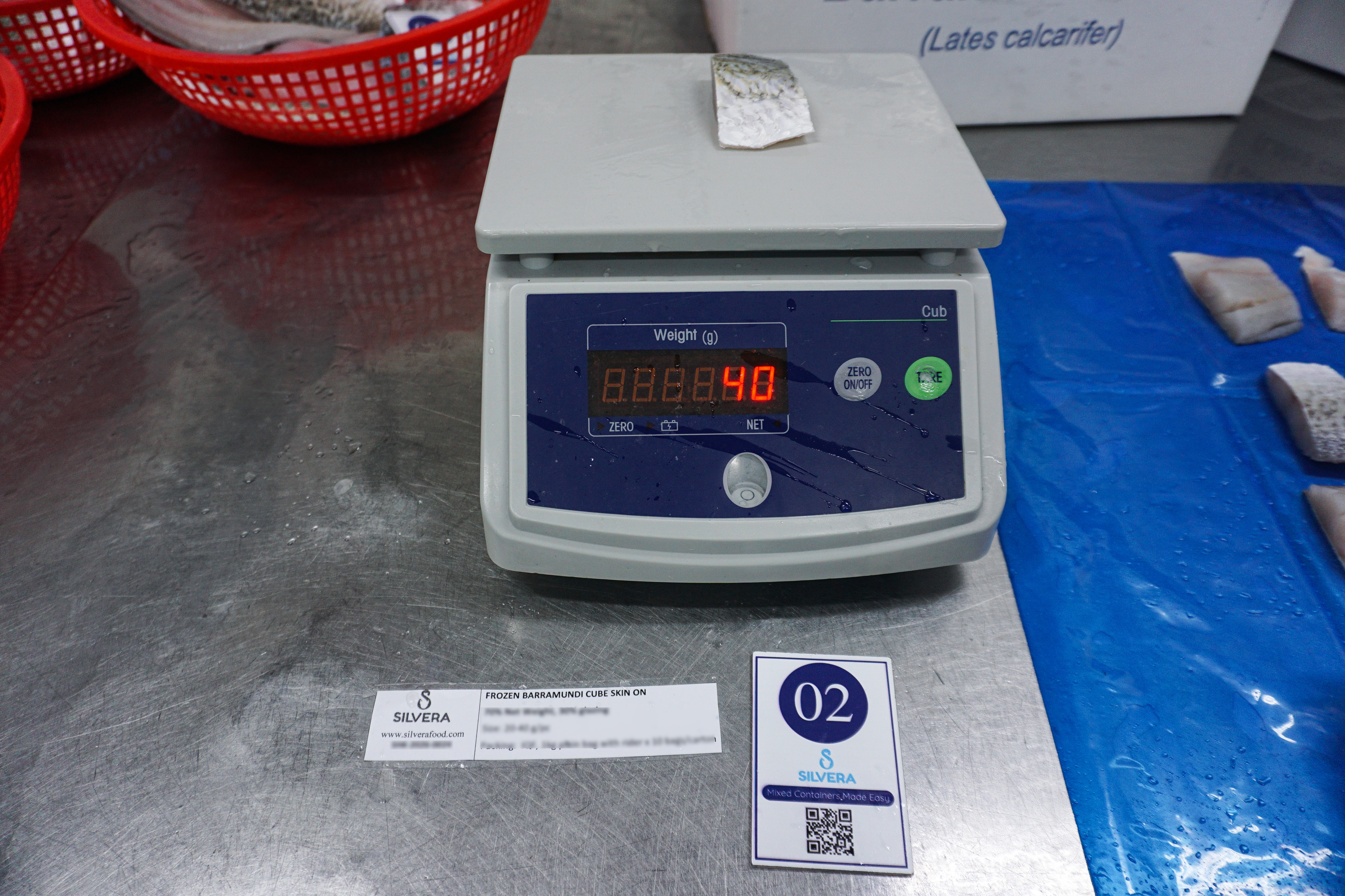 Thawed barramundi cube - Silvera Food Vietnam