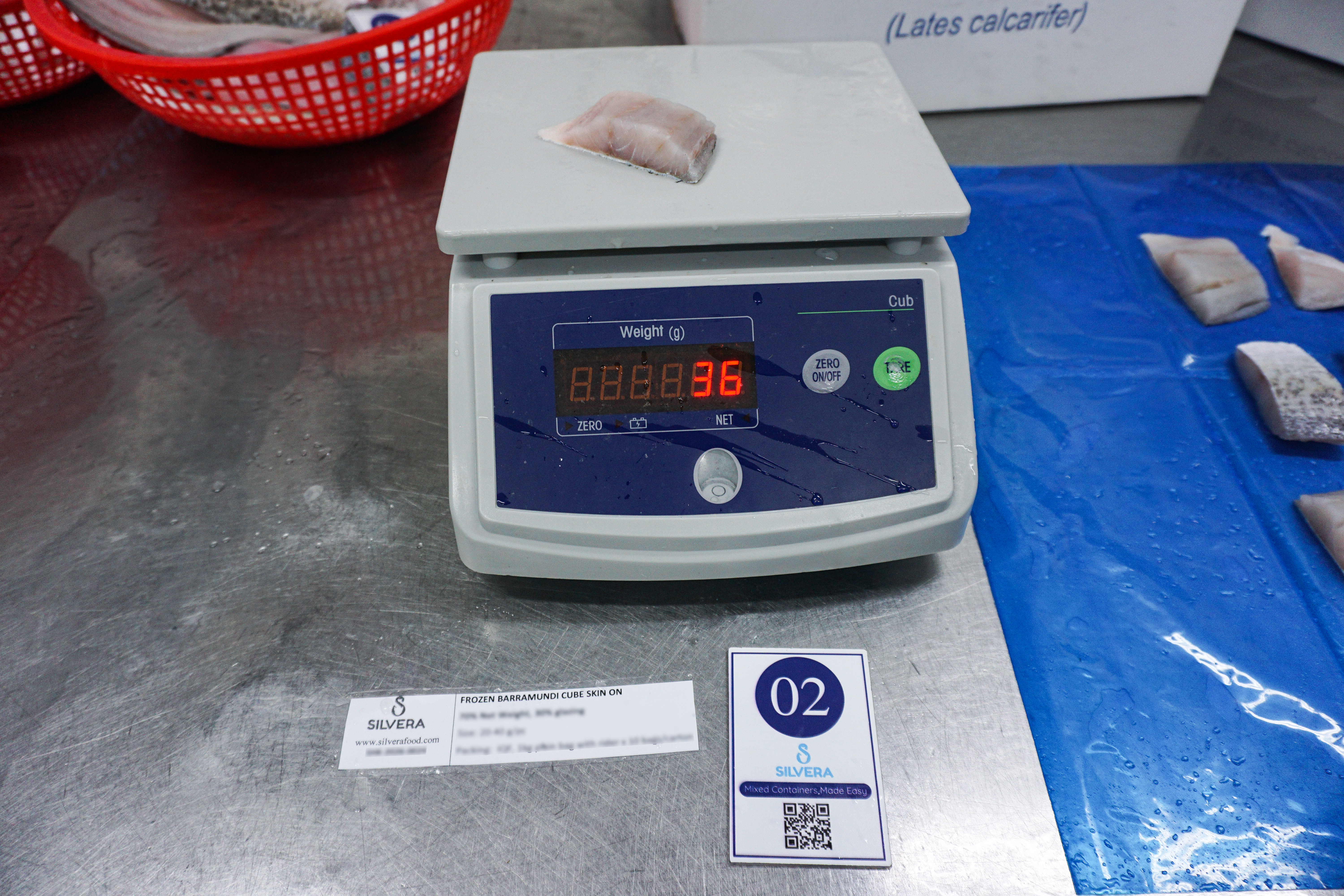 Thawed barramundi cube - Silvera Food Vietnam