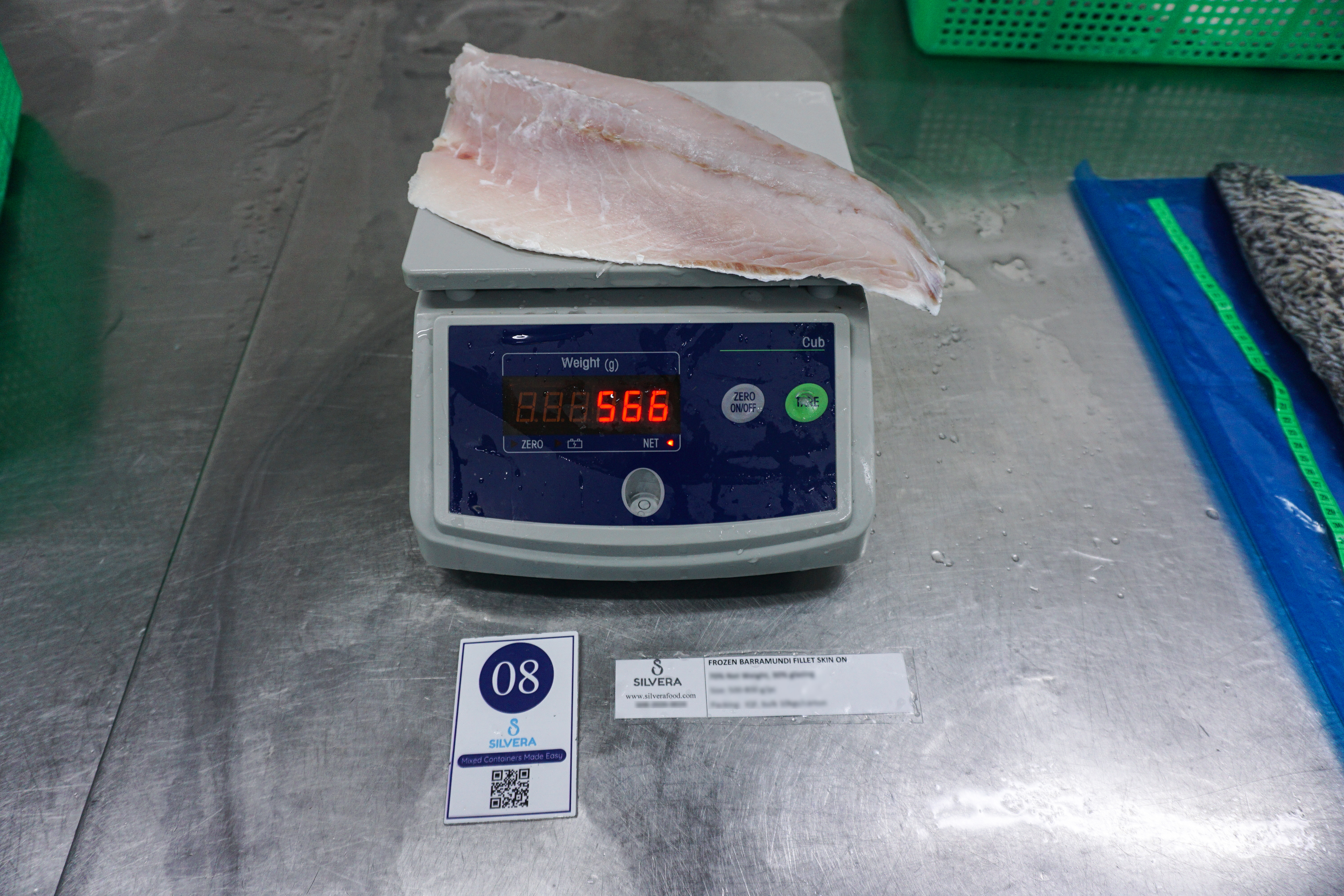 Thawed barramundi fillet - Silvera Food Vietnam