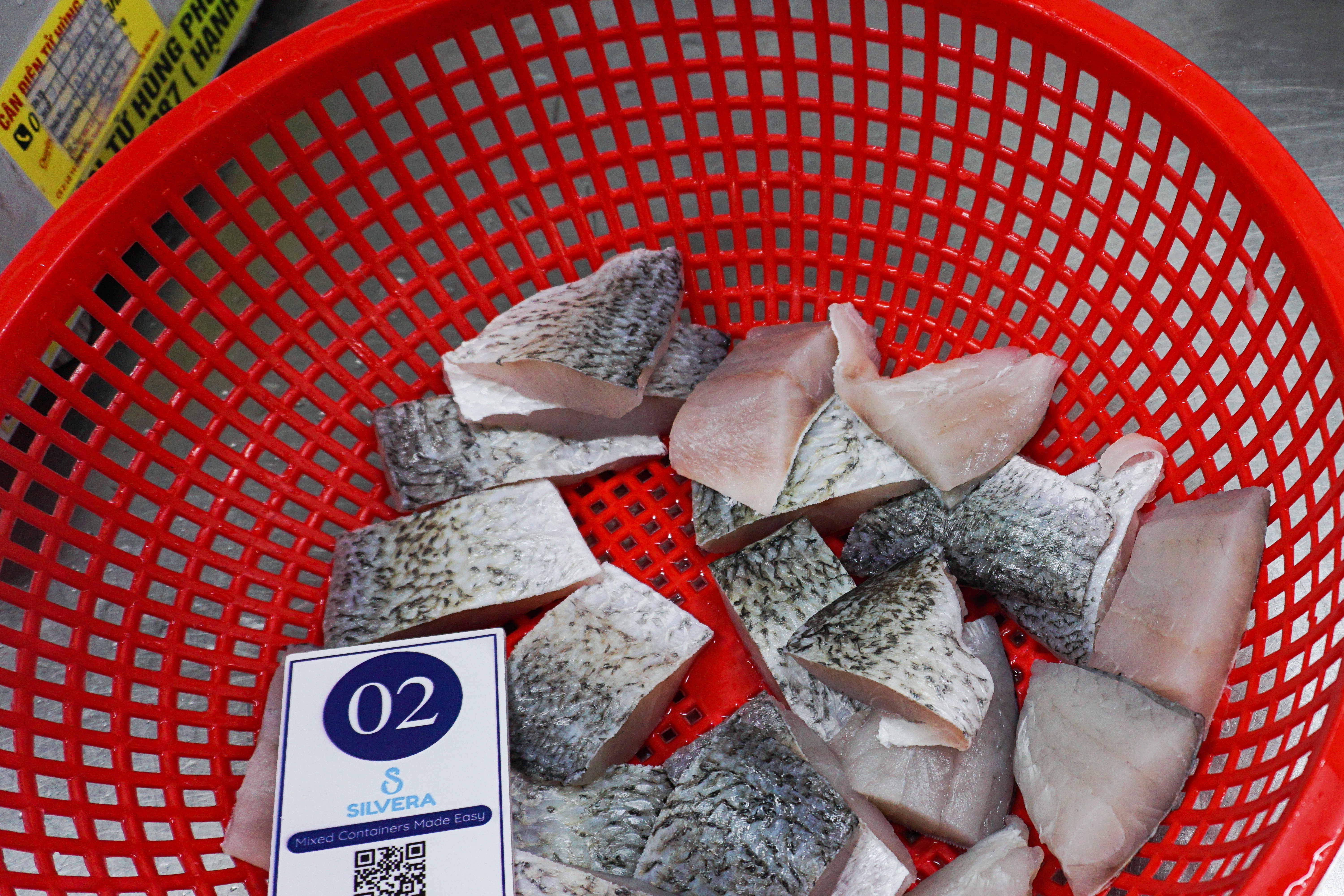 Thawed barramundi cubes - Silvera Food Vietnam
