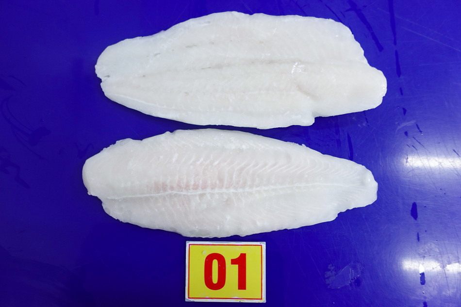 Frozen pangasius fillets