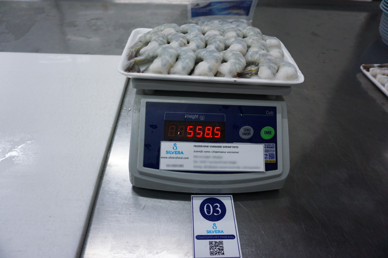 Frozen PDTO vannamei shrimp