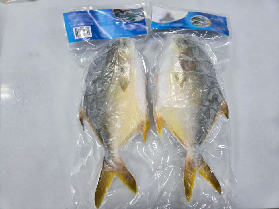 Whole golden pomfret vacuum packed