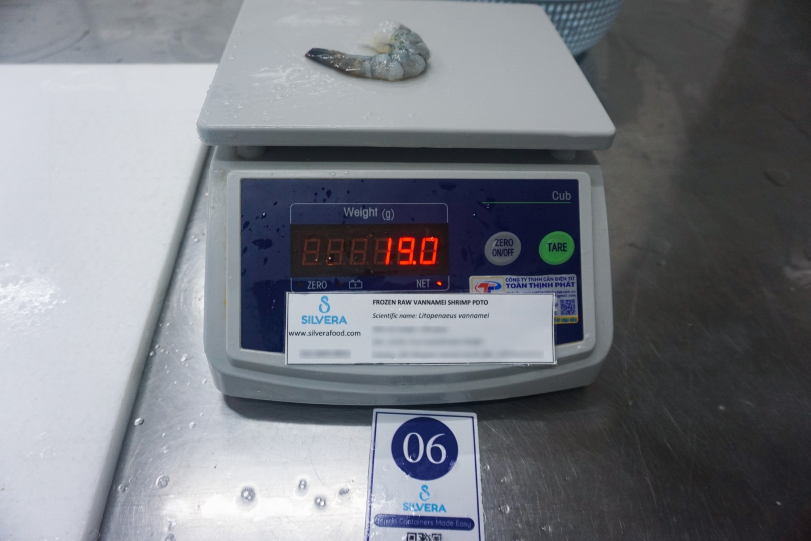 Raw PDTO vannamei shrimp