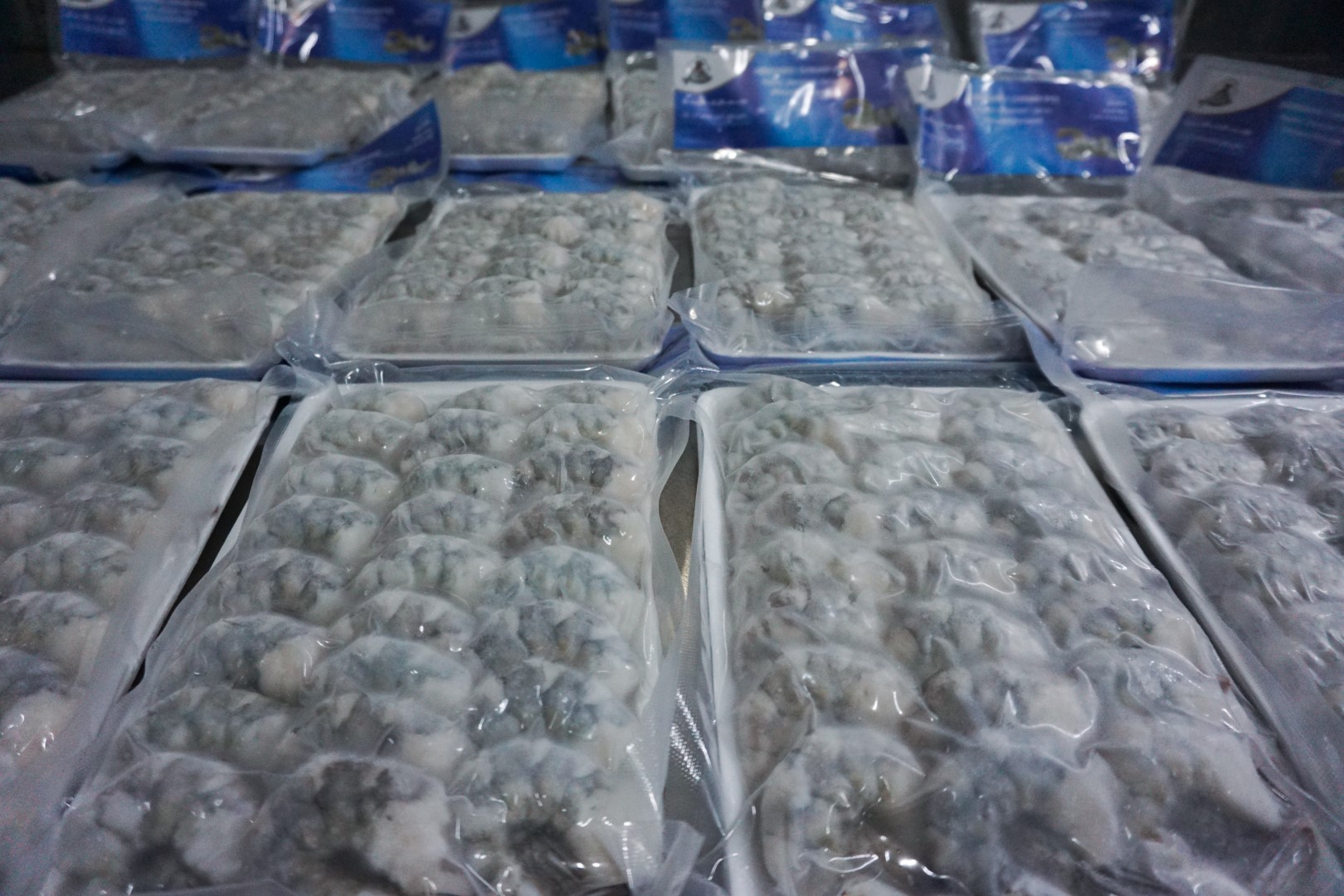 Raw PDTO vannamei shrimp packed on trays