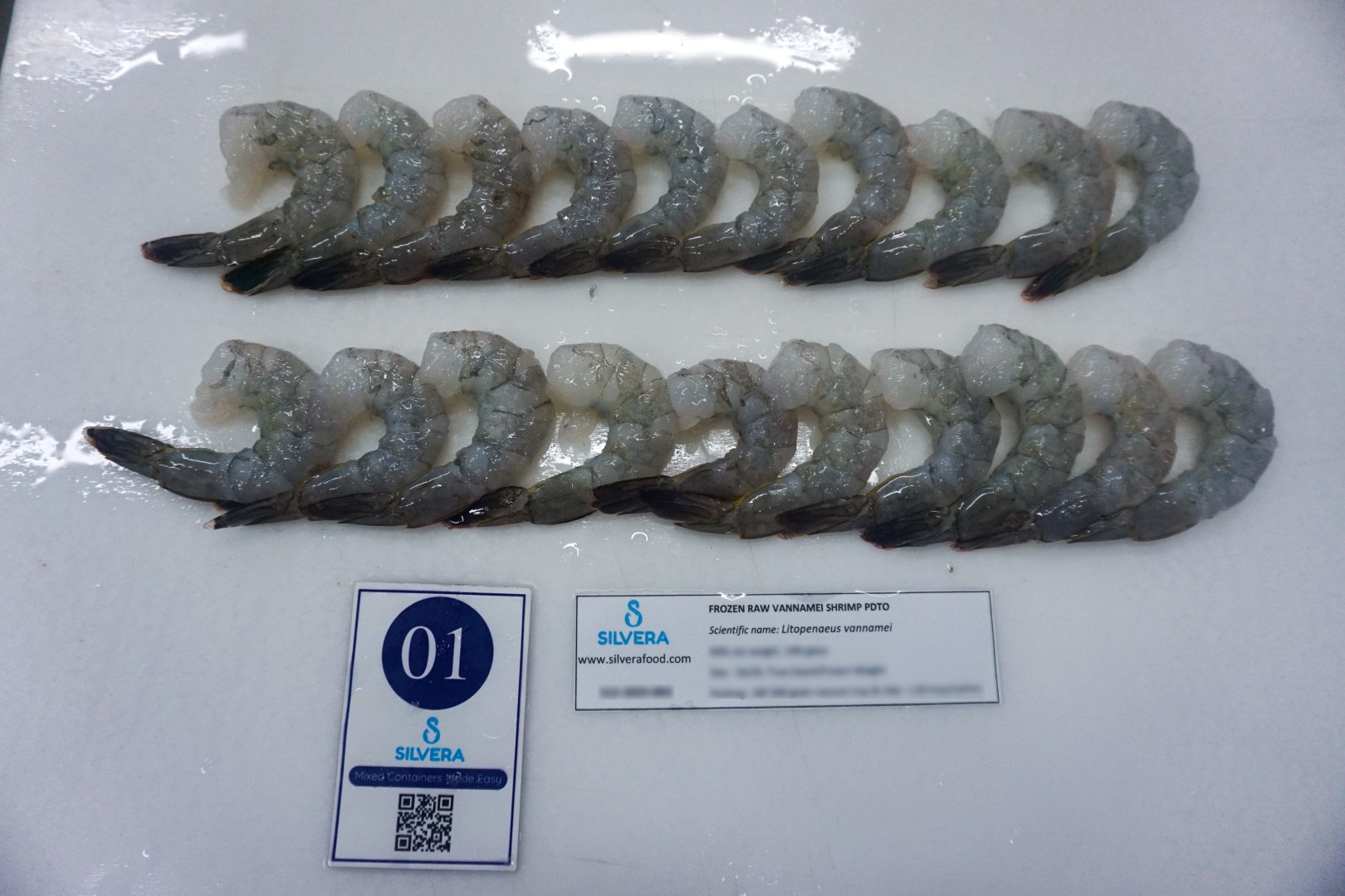 Thawed raw PDTO vannamei shrimp 