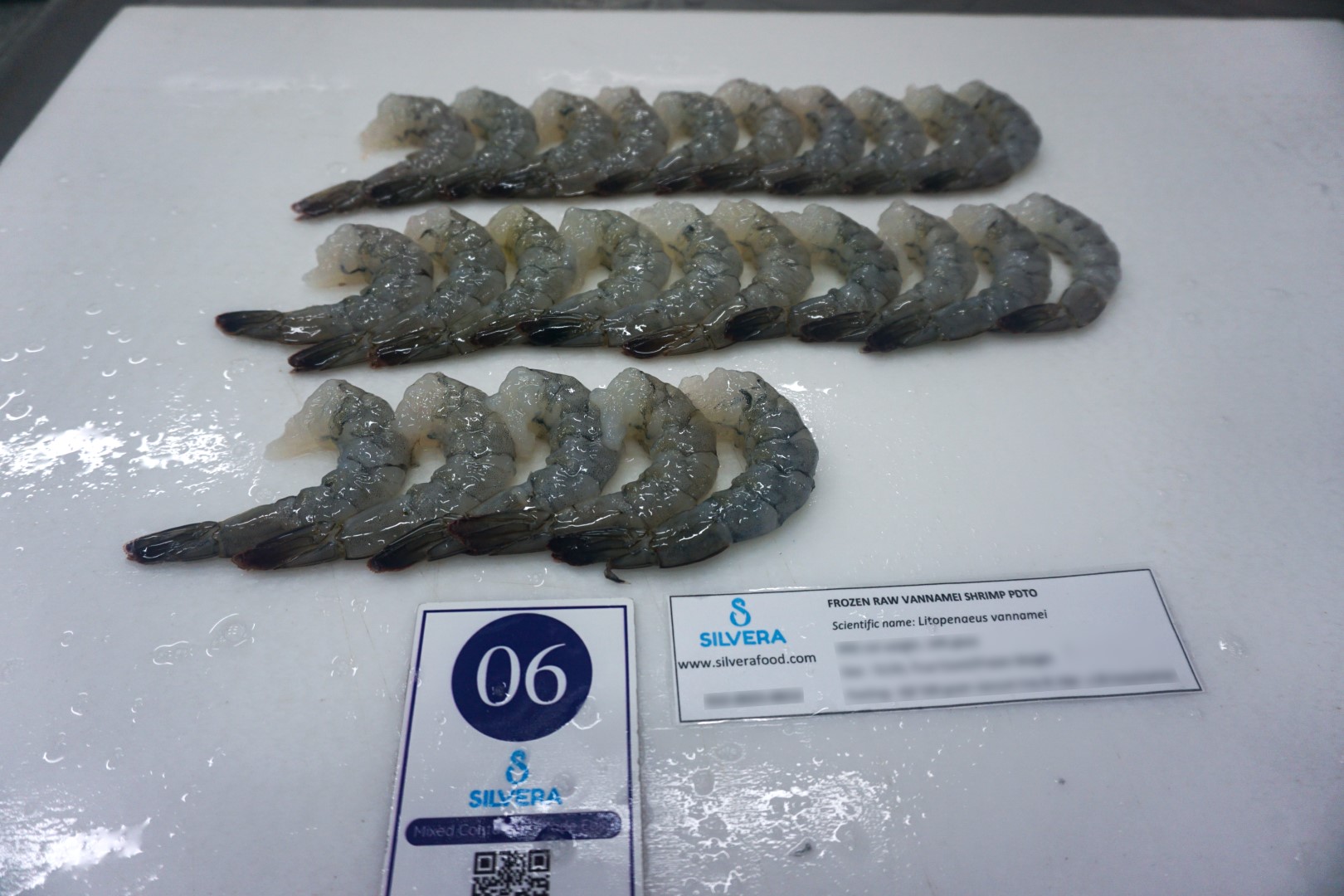 Thawed raw PDTO vannamei shrimp 