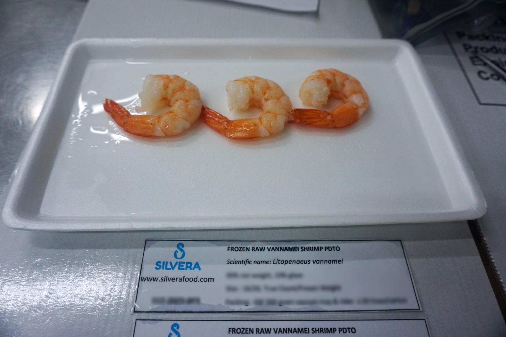 Cooked PDTO vannamei shrimp