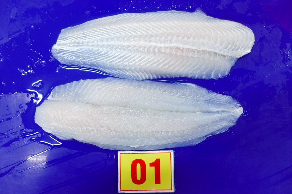 Thawed pangasius fillets