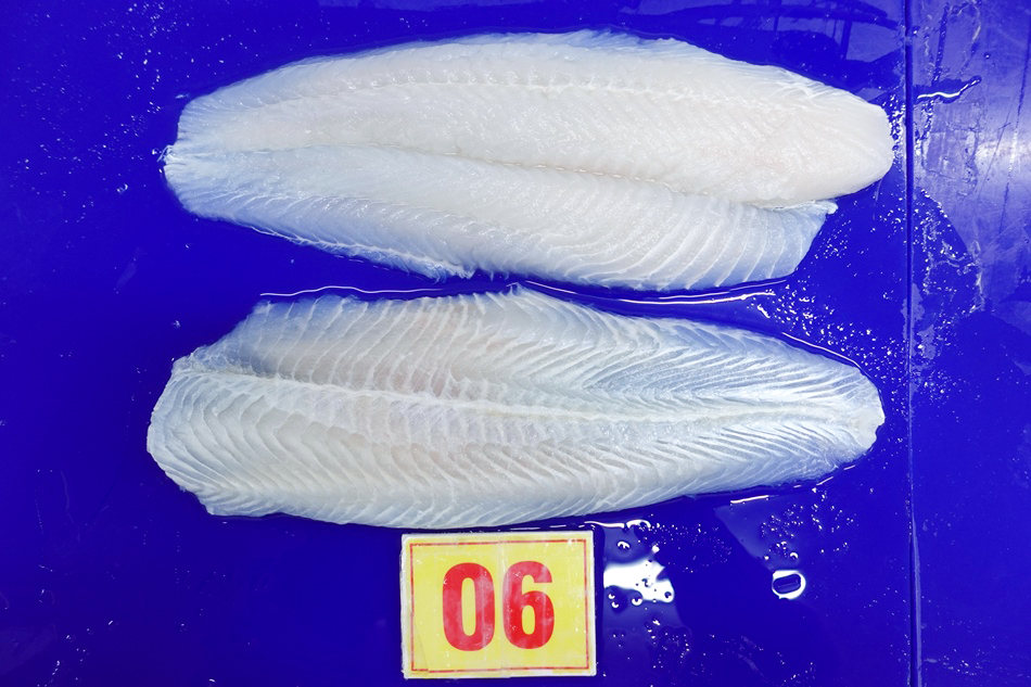 Thawed pangasius fillets