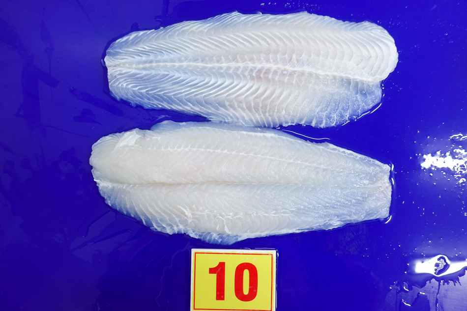 Thawed pangasius fillets