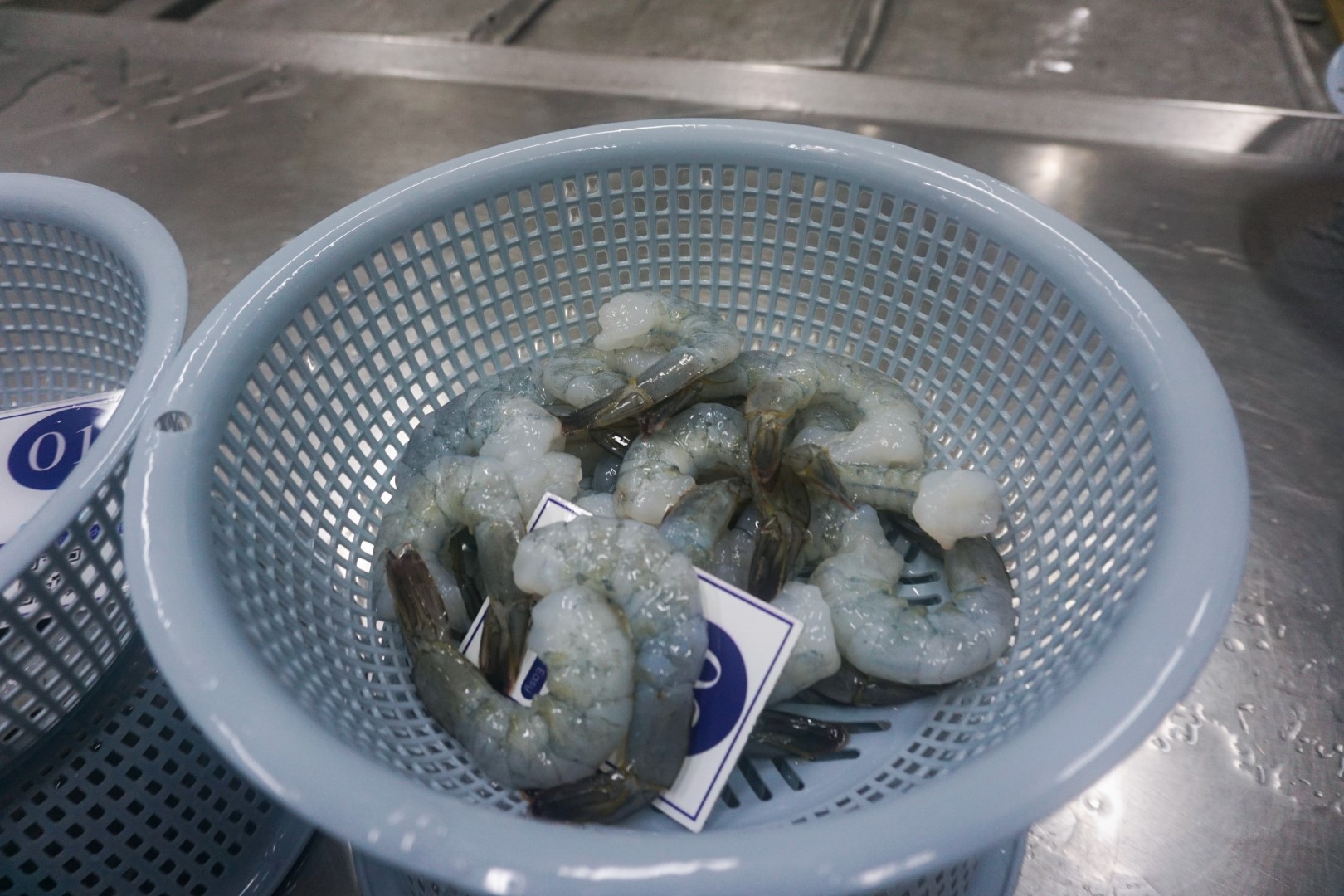 Thawed raw PDTO vannamei shrimp 