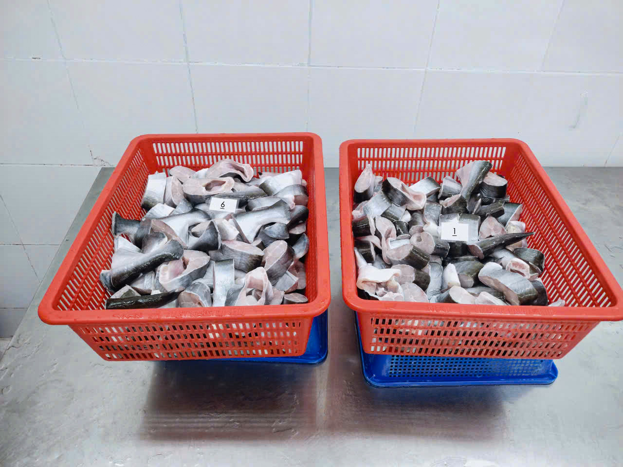 Thawed pangasius steaks