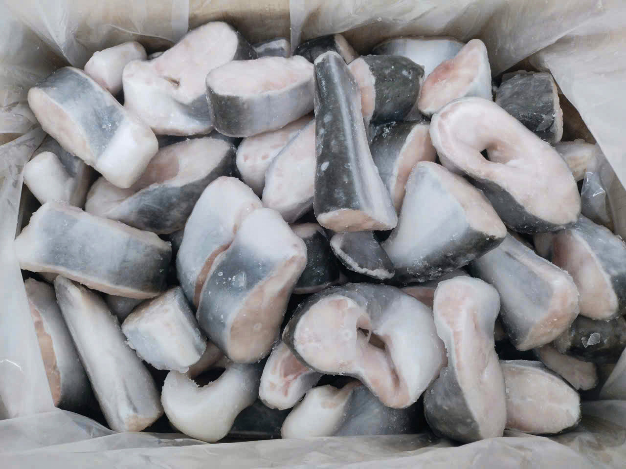 Pangasius steak - inside carton 