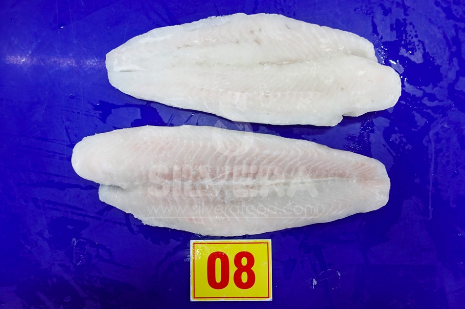 Frozen pangasius fillets