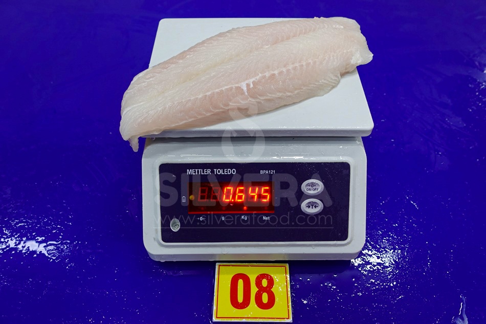 Pangasius fillets well-trimmed-skinless-boneless