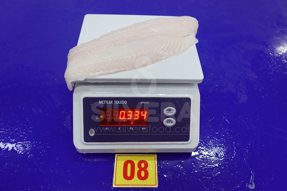 Pangasius fillet well-trimmed-skinless-boneless