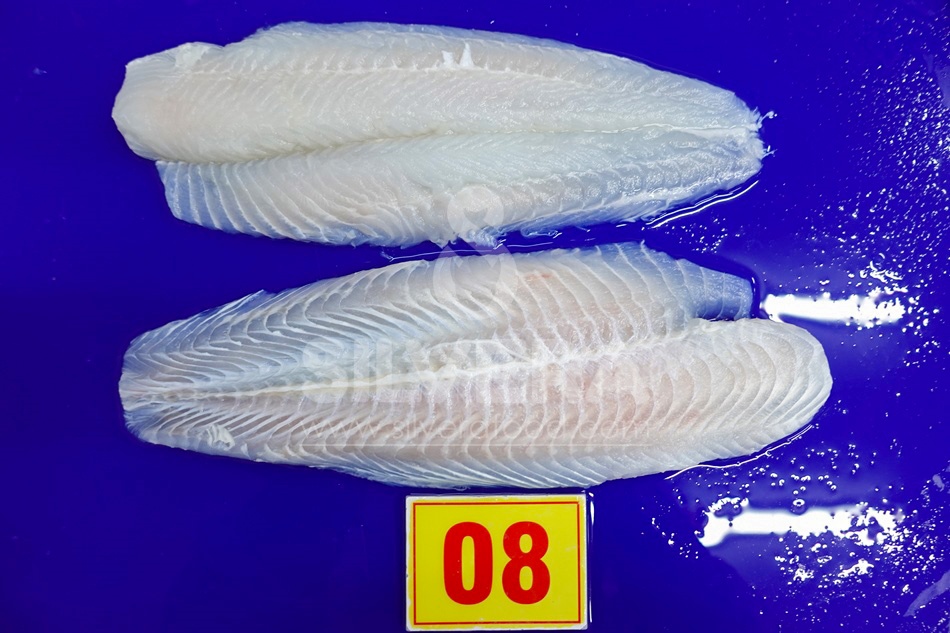 Pangasius fillets well-trimmed-skinless-boneless