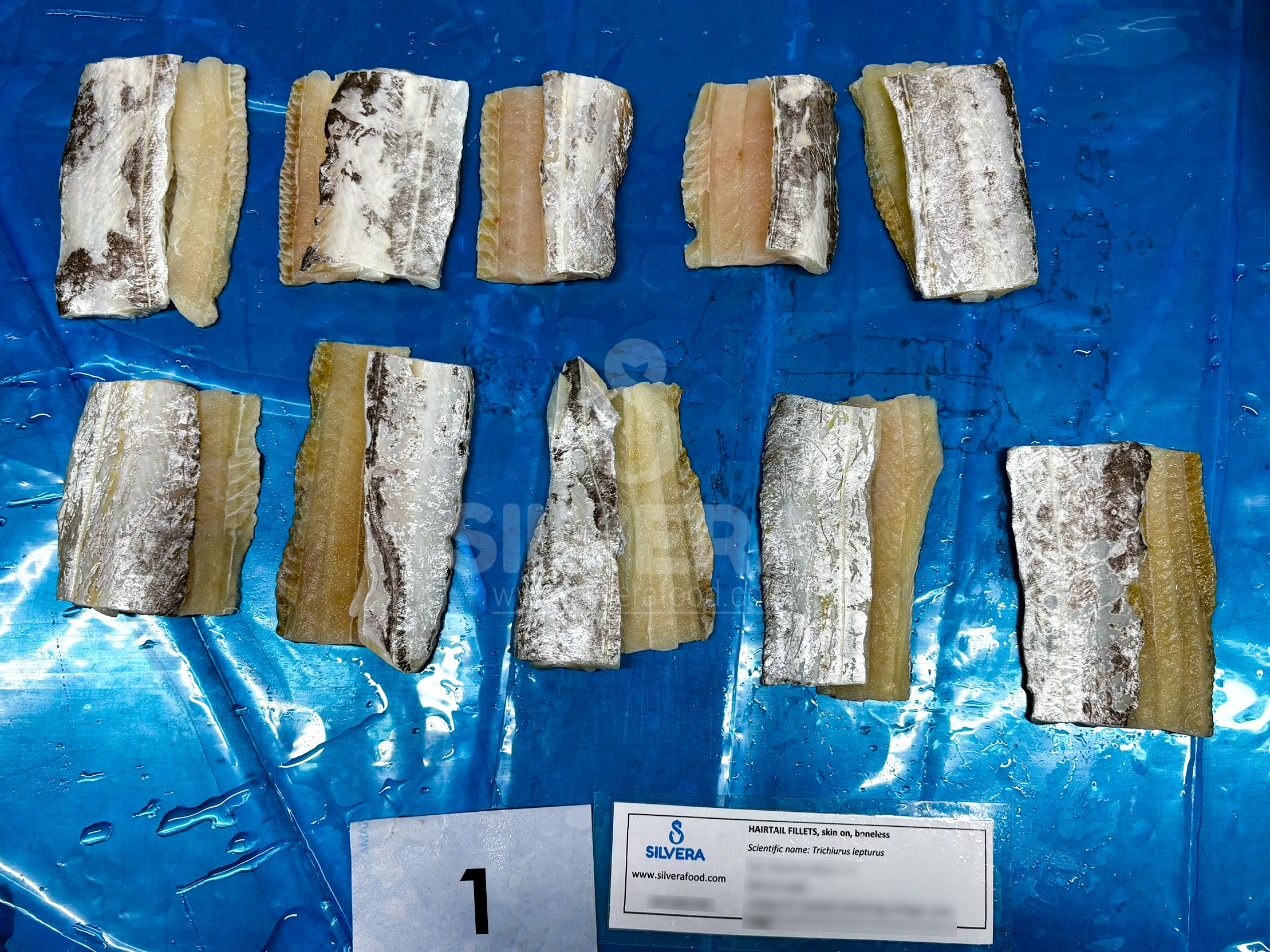 Defrosted hairtail (ribbonfish) fillets