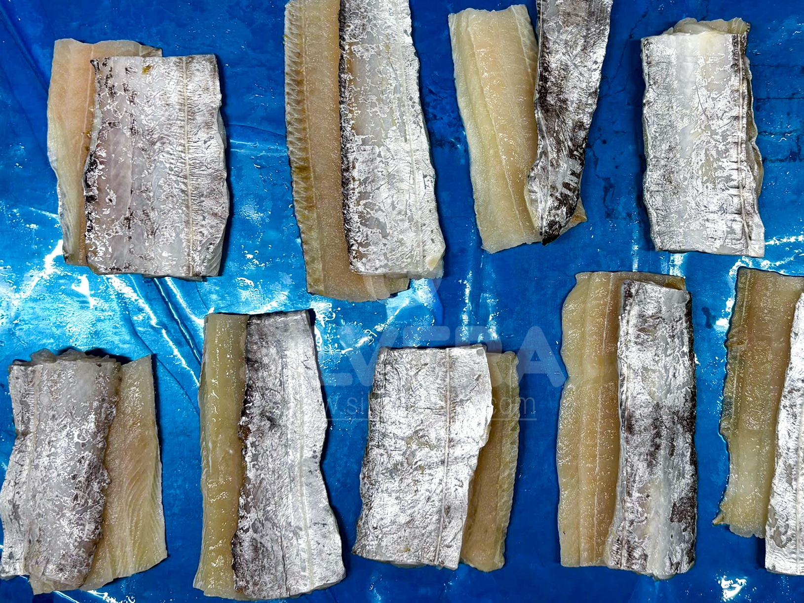 Defrosted hairtail (ribbonfish) fillets