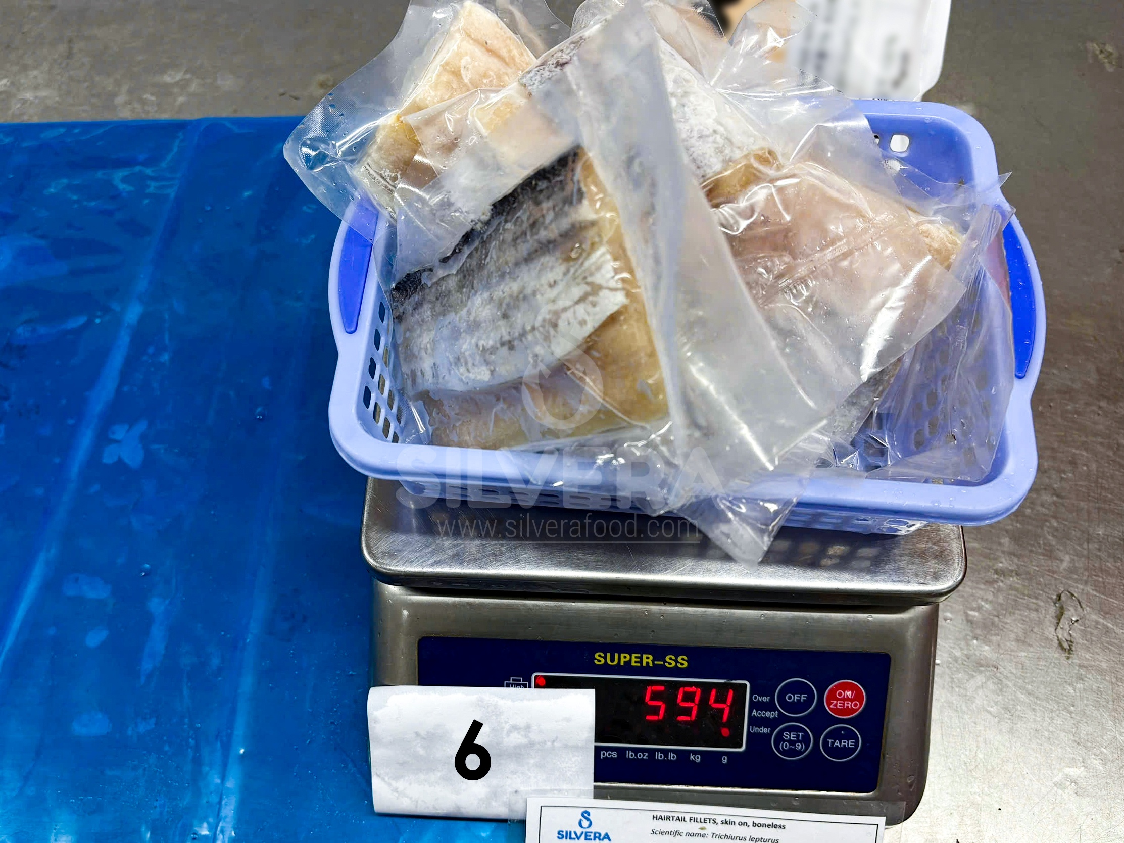 Hairtail fillet vacuum packed
