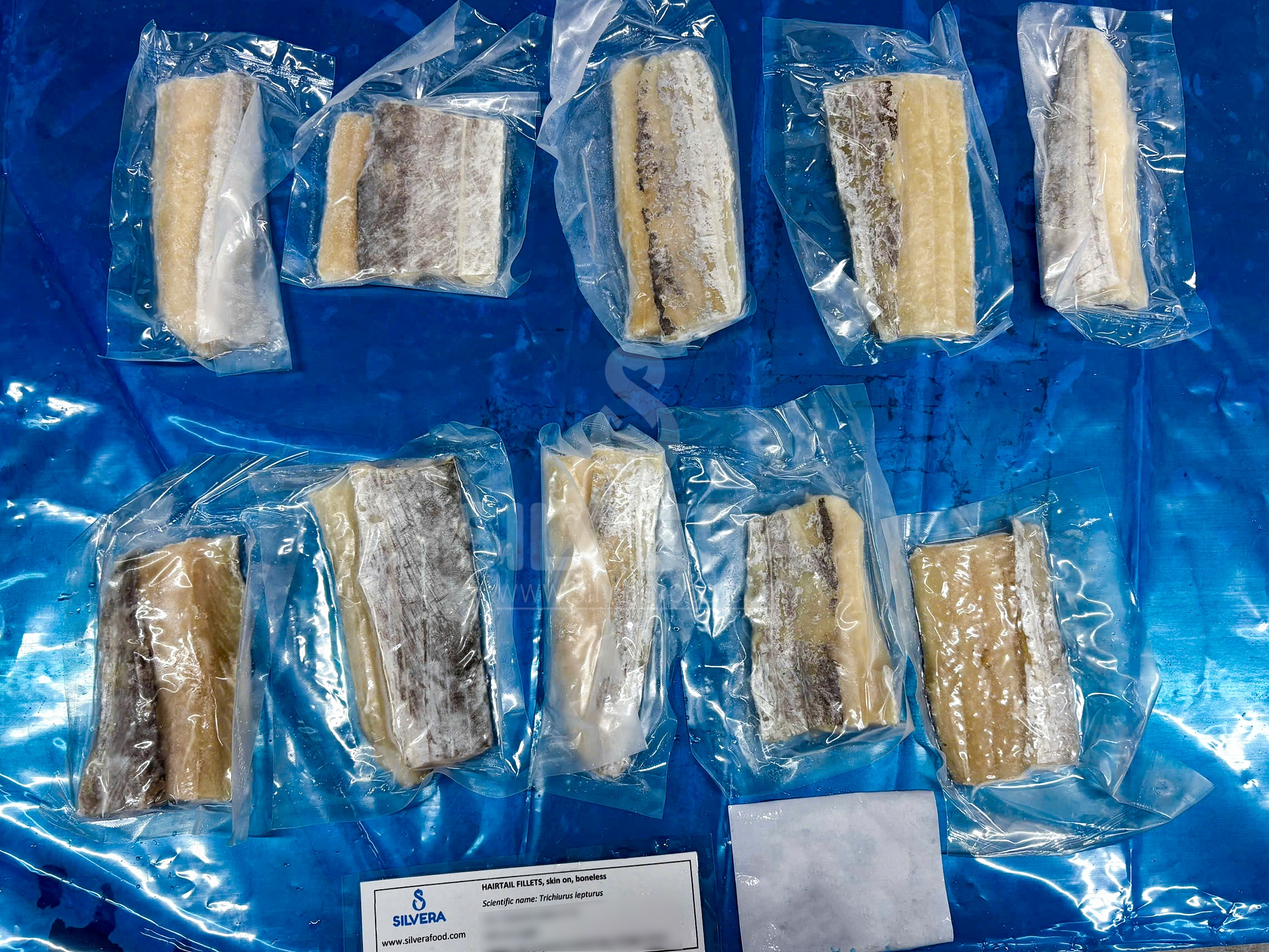 Hairtail fillet vacuum packed