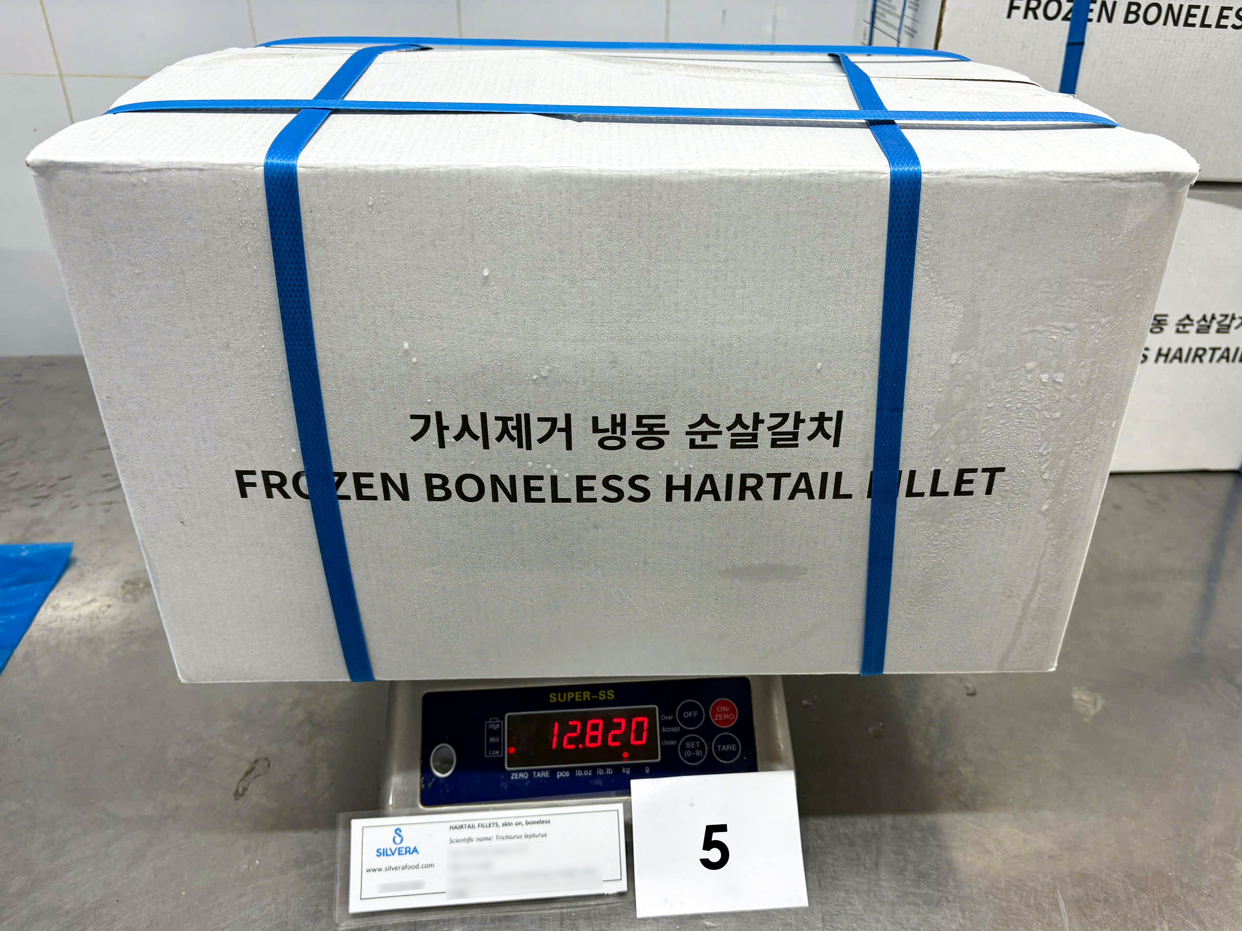 Hairtail fillet - carton 